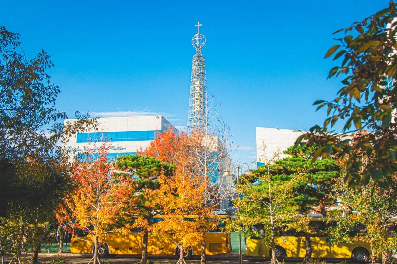 세계로교회 11월16일 주일풍경